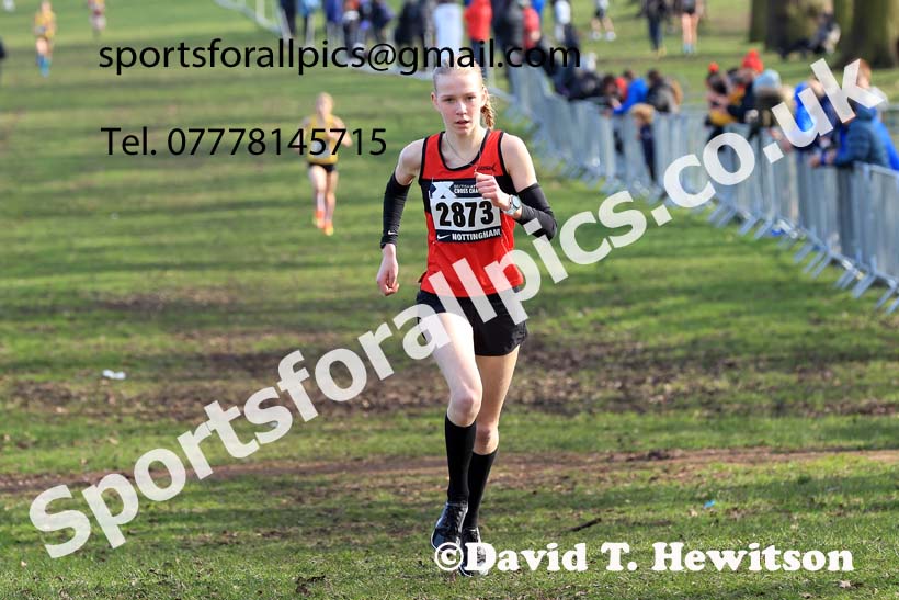 Girls Under-15s, 2024 CAU Inter Counties Cross Country Champs., Wollaton Park, Nottingham. Photo: David T. Hewitson/Sports for All Pics